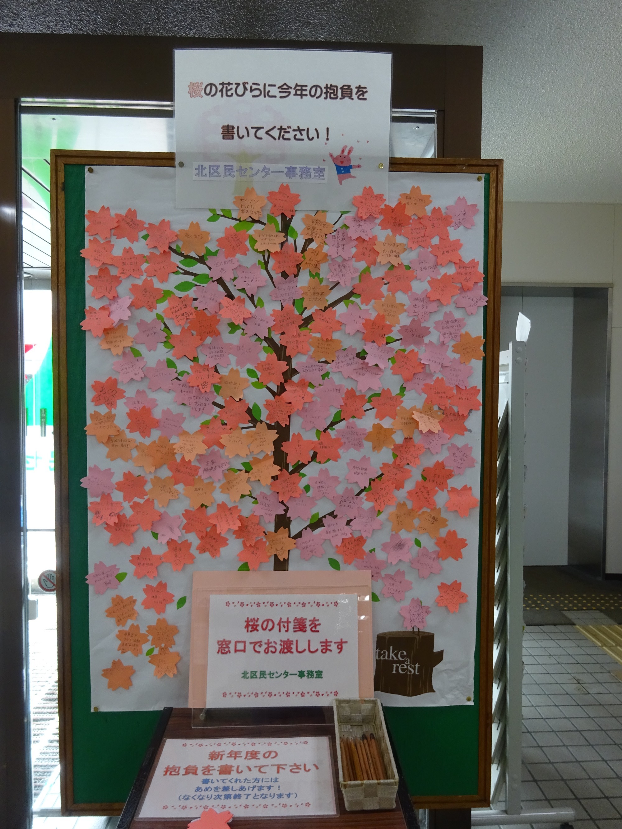 写真：桜の木抱負