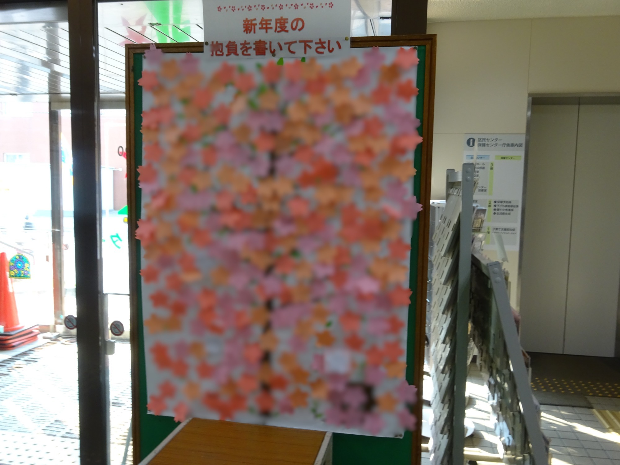 写真：桜の木