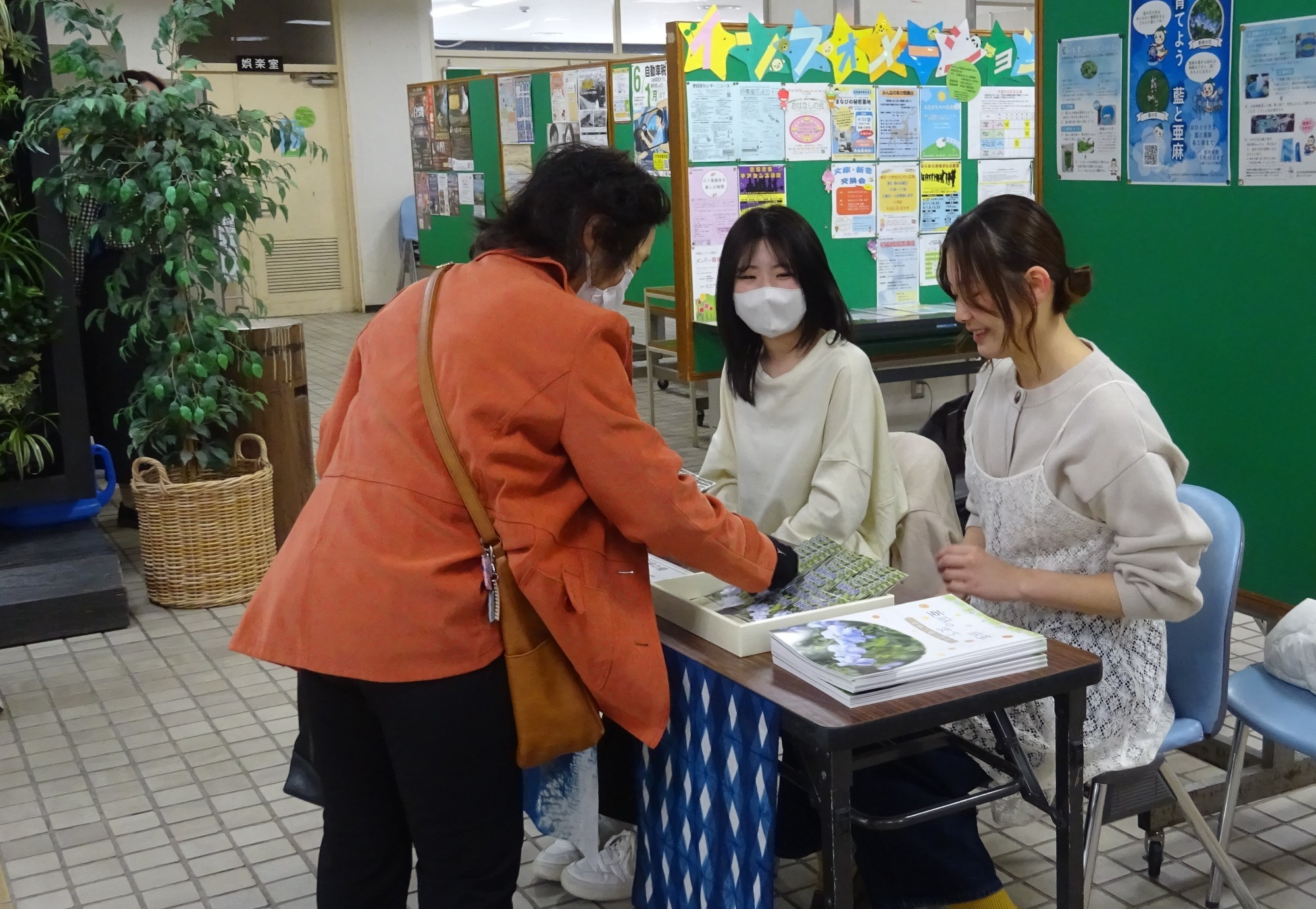 写真:藍の種配布